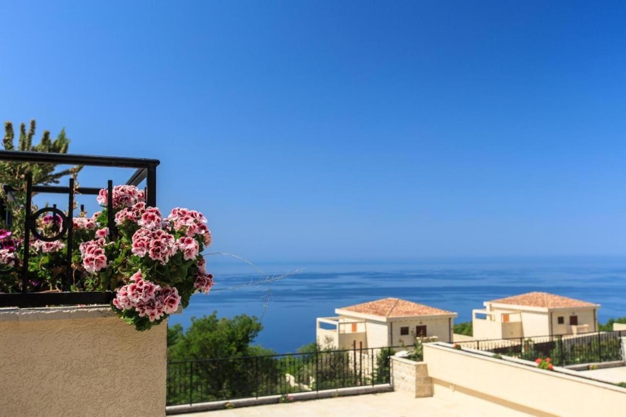 Sunny Orchid * Budva